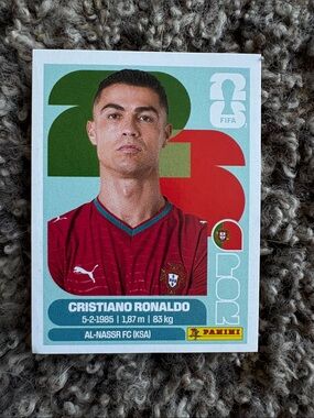 Panini Red and Green Football Sticker